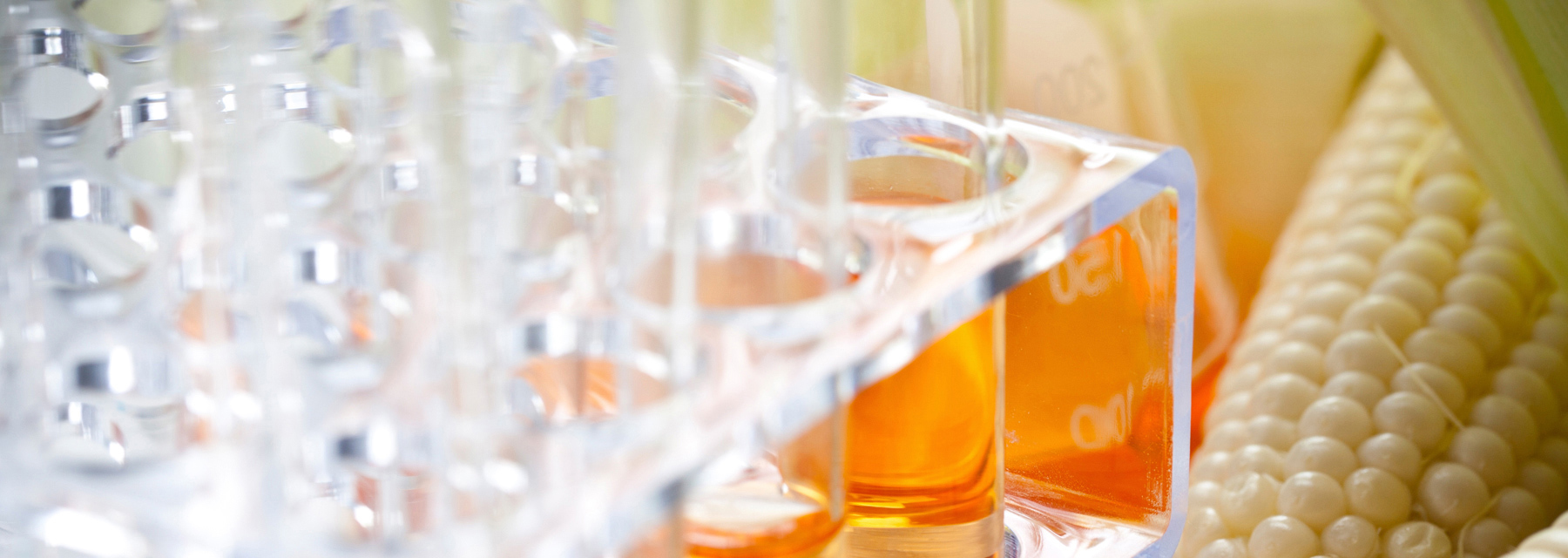 Life Sciences